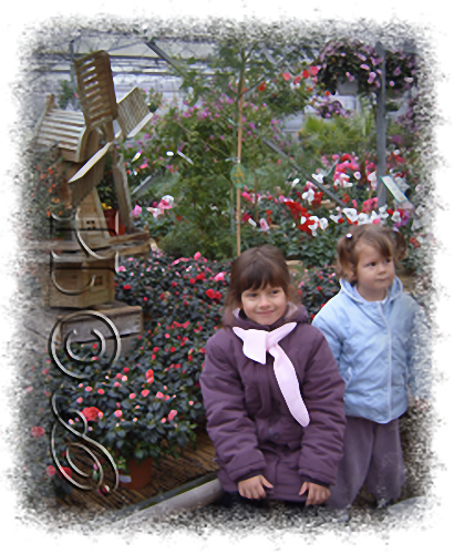 AL et E fleurs