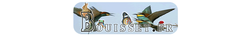 Contact logo.
