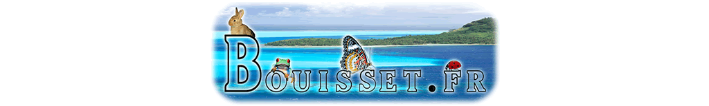 Divers logo.